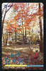 Telephone Card - Japan 105 units phone card showing Bicycle in Woodland Scene (card dated 1.4.1991)
