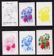 St Vincent 1985 Herbs & Spices 25c (pepper) set of 6 imperf progressive proofs comprising the 4 individual colours plus 2 & 3 colour composites (as SG 868) unmounted mint