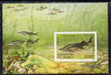 Belarus 1997 Fishes unmounted mint imperf m/sheet SG MS 250