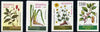 Belarus 1996 Medicinal Plants unmounted mint set of 4, SG 192-95*