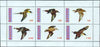 Karelia Republic 1998 Birds perf sheetlet containing complete set of 6 values unmounted mint