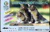 Telephone Card - Japan '7-11' 5000 phone card showing Three Kittens looking to the left