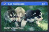 Telephone Card - DIT 'Puppy Collection' £2 phone card showing three puppies