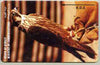 Telephone Card - Kuwait KD5 phone card showing Falcon