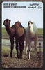 Telephone Card - Kuwait KD3 phone card showing Camels