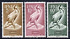 Ifni 1952 Colonial Stamp Day set of 3 (Shag) unmounted mint SG 95-97*