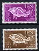 Ifni 1953 Fish & Seaweed set of 2 values from Colonial Stamp Day set unmounted mint, SG 98 & 100