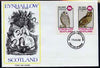 Eynhallow 1982 Owls (Barred Owl & Lonf-Eared Owl) imperf set of 2 values (40p & 60p) on cover with first day cancel