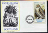 Eynhallow 1982 Snowy Owl imperf souvenir sheet (£1 value) on cover with first day cancel