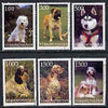 Turkmenistan 1998 Dogs,perf set of 6 values very fine cto used*