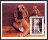 Turkmenistan 1998 Dogs,perf m/sheet Very fine cto used