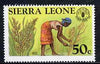 Turks & Caicos Islands 1981 Rice 50c from World Food Day set unmounted mint, SG 688*