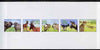 Senegal 1997 Animals complete set of 5 (Se-tenant strip) deluxe sheet on thin card