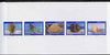 Senegal 1997 Shells complete set of 5 (Se-tenant strip) deluxe sheet on thin card