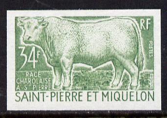 St Pierre & Miquelon 1970 Livestock Breeding 34f (Bull) IMPERF colour trial proof (several colour combinations available but price is for ONE) as SG 486 unmounted mint