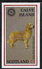 Calve Island 1998 Rotary Int opt in silver on 1984 Rotary - Dogs imperf souvenir sheet (£1 value) unmounted mint
