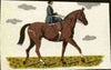 Match Box Labels - Dressage from a Swedish set produced about 1912