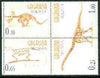 Gagauzia Republic 1998 Skeletons of Dinosaurs complete perf set of 4 unmounted mint