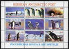 Russian Antarctic Post 1998 Penguins #2 perf sheetlet containing complete set of 9 unmounted mint
