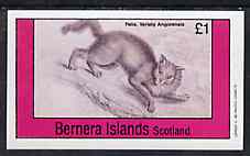 Bernera 1982 Cats (Felis angorensis) imperf souvenir sheet (£1 value) unmounted mint