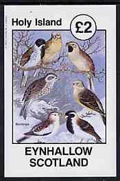 Eynhallow 1982 Buntings imperf deluxe sheet (£2 value) unmounted mint