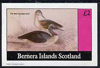 Bernera 1982 Water Birds (Great Throated Diver) imperf,deluxe sheet (£2 value) unmounted mint
