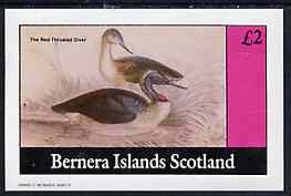 Bernera 1982 Water Birds (Great Throated Diver) imperf,deluxe sheet (£2 value) unmounted mint
