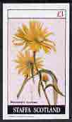 Staffa 1982 Flowers #17 (Maximillian's Sunflower) imperf,souvenir sheet (£1 value) unmounted mint