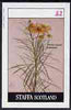 Staffa 1982 Flowers #17 (Sneezewort) imperf,deluxe sheet (£2 value) unmounted mint