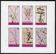 Staffa 1982 Flowers #18 (Amaryllis, Spleenwort,Meadow Beauty, etc) imperf set of 6 values (15p to 75p) unmounted mint