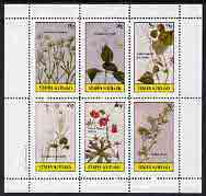 Staffa 1982 Flowers #19 (Nailwort, Collinson's Flower, Blue Bell, etc) perf set of 6 values (15p to 75p) unmounted mint