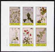 Staffa 1982 Flowers #19 (Nailwort, Collinson's Flower, Blue Bell, etc) imperf set of 6 values (15p to 75p) unmounted mint