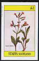 Staffa 1982 Flowers #19 (Virginia Catchfly) imperf deluxe sheet (£2 value) unmounted mint
