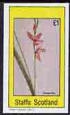 Staffa 1982 Flowers #20 (Grass Pink) imperf souvenir sheet (£1 value) unmounted mint