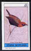 Staffa 1982 Birds #52 (Crowned Weaver) imperf souvenir sheet (£1 value) unmounted mint