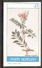 Staffa 1982 Flowers #21 (Tephrosia) imperf,souvenir sheet (£1 value) unmounted mint