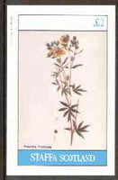 Staffa 1982 Flowers #21 (Potenilla) imperf,deluxe sheet (£2 value) unmounted mint