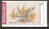 Staffa 1982 Flowers #22 (Narcissus) imperf souvenir sheet (£1 value) unmounted mint
