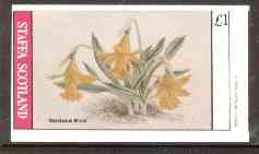 Staffa 1982 Flowers #22 (Narcissus) imperf souvenir sheet (£1 value) unmounted mint