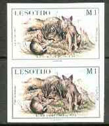 Lesotho 1984 Jackal Pups 1m (from Baby Animals issue) superb unmounted mint imperf pair as SG 615