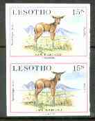 Lesotho 1984 Eland Calf 15s (from Baby Animals issue) superb unmounted mint imperf pair as SG 611