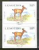 Lesotho 1984 Oribi Calf 30s (from Baby Animals issue) superb unmounted mint imperf pair as SG 613