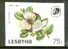 Lesotho 1984 Butterflies Queen Purple Tip 75s value imperf proof with background colour omitted