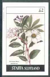 Staffa 1982 Flowers #23 (Christmas Rose) imperf,deluxe sheet (£2 value) unmounted mint