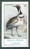 Bernera 1982 Birds #16 (La Petite Outarde) imperf,souvenir sheet (£1 value) unmounted mint