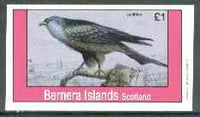 Bernera 1982 Birds #18 (Le Milan) imperf,souvenir sheet (£1 value) unmounted mint