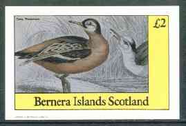 Staffa 1982 Grey Phalarope imperf deluxe sheet (£2 value) unmounted mint