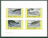 Bernera 1982 Birds #33 (Rail, Avoset, Coot & Corn Crake) imperf set of 4 values (10p to 75p) unmounted mint
