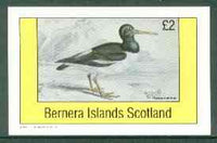 Bernera 1982 Oyster Catcher imperf deluxe sheet (£2 value) unmounted mint