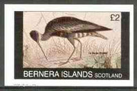 Bernera 1982 Birds #23 (La Caurale) imperf souvenir sheet (£1 value) unmounted mint
